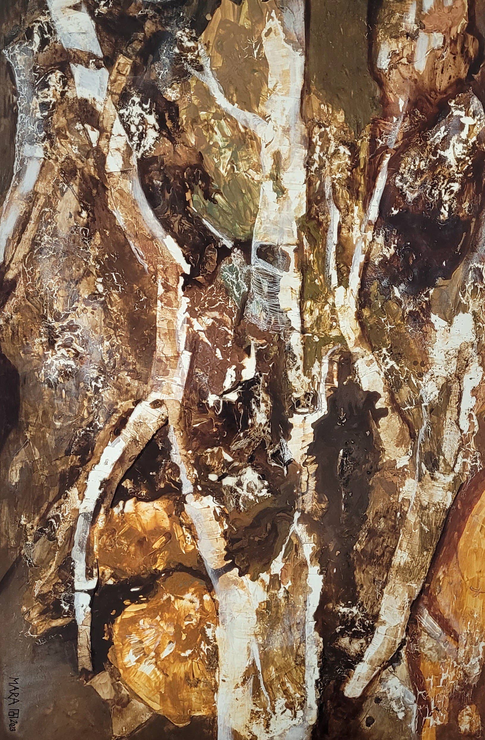 autumninalluvialforest